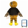Brown Owl Mascot Costume