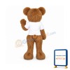 New Cute Bear Mascot Costume