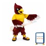 Bird Cardinal Mascot Costume