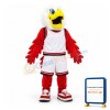College Hawks Mascot Costume