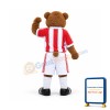 Football Bear Mascot Costume