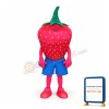 Strawberry Mascot Costume