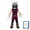 High School Viking Mascot Costume