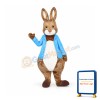 Peter Rabbit Mascot Costume