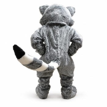 Cute Lightweight Raccoon Mascot Costume