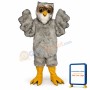 Storybook Owl Mascot Costume