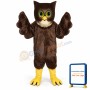 Wise Owl Mascot Costume