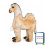 Two Man Camel Mascot Costume