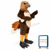Red Tail Hawk Mascot Costume