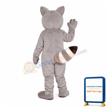 Little Raccoon Mascot Costume