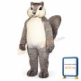 Grey Squirrel Mascot Costume