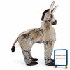 Two Man Donkey Mascot Costume