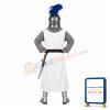 Knight Mascot Costume