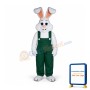 Bunny Boy Mascot Costume