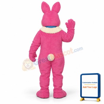 Raleigh Rabbit Mascot Costume