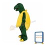 Tortoise Mascot Costume