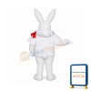 White Rabbit with Jacket Mascot Costume