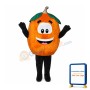 Pumpkin Mascot Costume