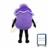 Cabbage Mascot Costume