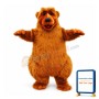 Brown Bear Mascot Costume Adult Costume