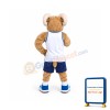 Sport Ram Mascot Costume