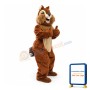 Animal Squirrel Mascot Costume