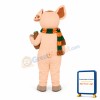 The Loveable Pig Mascot Costume