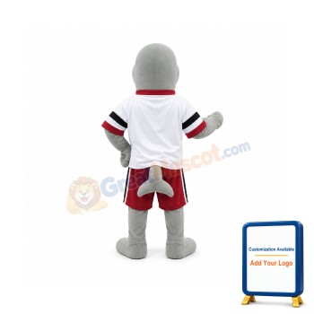 Dolphin Mascot Costumes