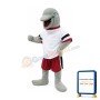 Dolphin Mascot Costumes