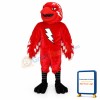 St John Thunderbird Mascot Costume