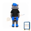 Cool Raccoon Mascot Costume
