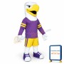College Eagle Mascot Costume