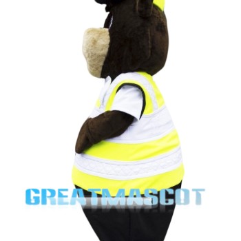 Sunny Bear Mascot Costume