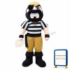 High Quality Pirate Mascot Costume