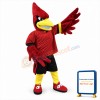 College Cardinal Mascot Costume