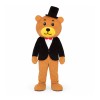 Cartoon Bear mascot costumes