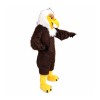 Brown Eagle mascot costumes