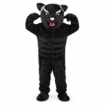 Black Panther Power Cat Mascot Costume