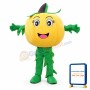 Halloween Pumpkin Mascot Costume Vegetable Costume for Adult