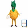Fruit Pineapple Mascot Costume