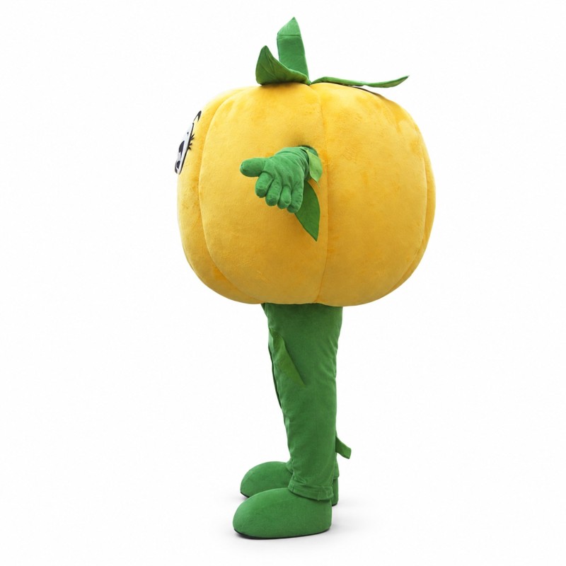 Halloween Pumpkin Mascot Costume Vegetable Costume for Adult