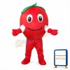 Red Apple Mascot Costume