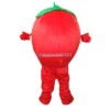 Red Apple Mascot Costume