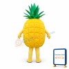 Pineapple Mascot Costume