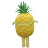 Pineapple Mascot Costume