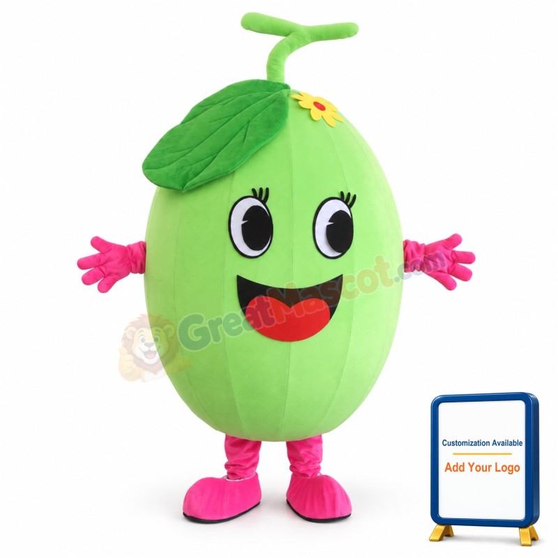 Melon Mascot Costume