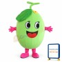 Melon Mascot Costume