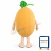 Cantaloupe Mascot Costume