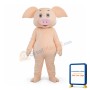 Cartoon Pig Mascot Costumes