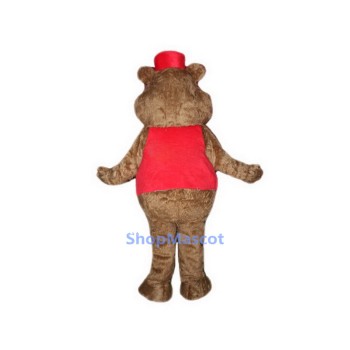 Chipmunk Mascot Costumes